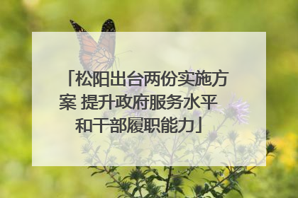 松阳出台两份实施方案 提升政府服务水平和干部履职能力