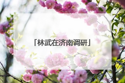 林武在济南调研