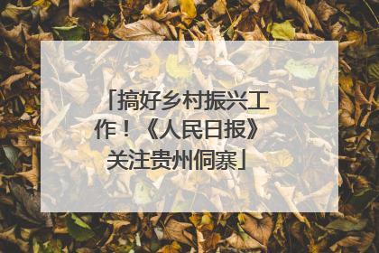 搞好乡村振兴工作！《人民日报》关注贵州侗寨