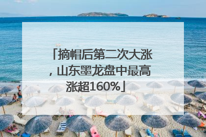 摘帽后第二次大涨，山东墨龙盘中最高涨超160%