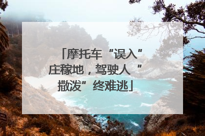 摩托车“误入”庄稼地，驾驶人“撒泼”终难逃