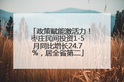 政策赋能激活力！枣庄民间投资1-5月同比增长24.7%，居全省第二