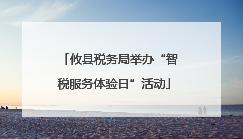 攸县税务局举办“智税服务体验日”活动