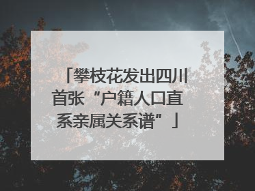 攀枝花发出四川首张“户籍人口直系亲属关系谱”