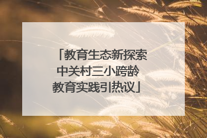 教育生态新探索 中关村三小跨龄教育实践引热议