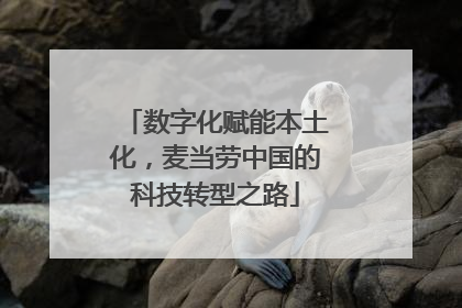 数字化赋能本土化，麦当劳中国的科技转型之路