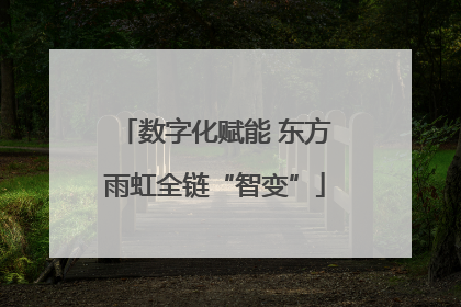 数字化赋能 东方雨虹全链“智变”