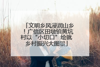 文明乡风浸润山乡！广信区田墩镇黄坑村以“小切口”绘就乡村振兴大图景