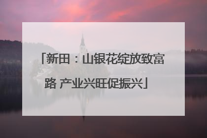 新田：山银花绽放致富路 产业兴旺促振兴