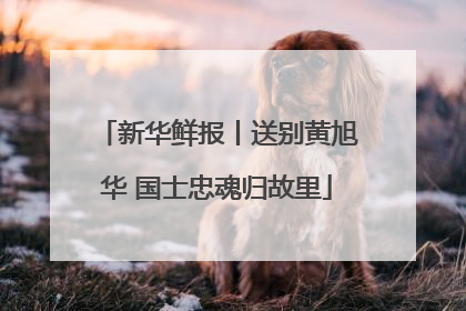 新华鲜报丨送别黄旭华 国士忠魂归故里