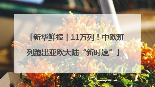 新华鲜报丨11万列！中欧班列跑出亚欧大陆“新时速”
