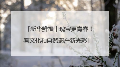 新华鲜报｜瑰宝更青春！看文化和自然遗产新光彩