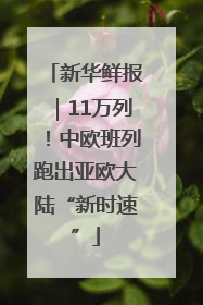 新华鲜报｜11万列！中欧班列跑出亚欧大陆“新时速”