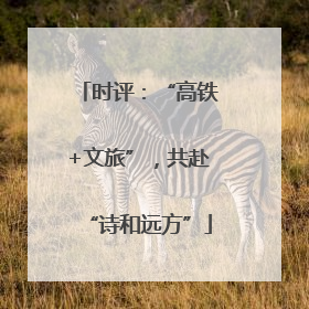 时评：“高铁+文旅”，共赴“诗和远方”