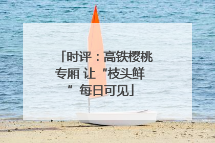 时评：高铁樱桃专厢 让“枝头鲜”每日可见