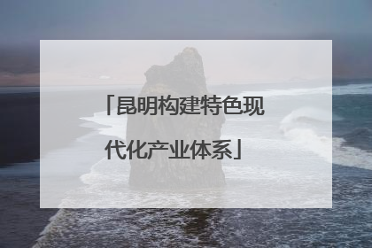 昆明构建特色现代化产业体系