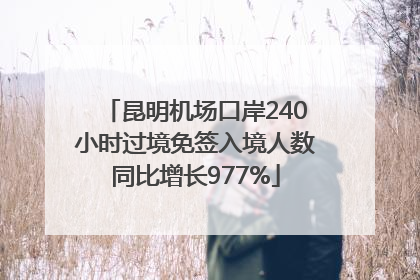 昆明机场口岸240小时过境免签入境人数同比增长977%