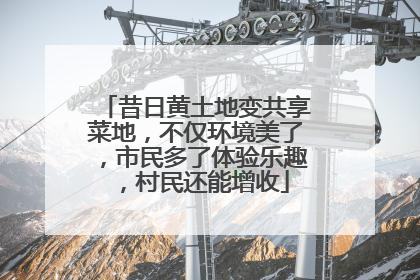 昔日黄土地变共享菜地，不仅环境美了，市民多了体验乐趣，村民还能增收