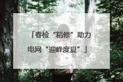 春检“精修”助力电网“迎峰度夏”