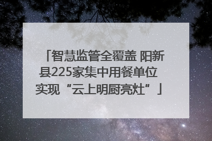 智慧监管全覆盖 阳新县225家集中用餐单位实现“云上明厨亮灶”