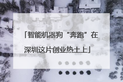 智能机器狗“奔跑”在深圳这片创业热土上