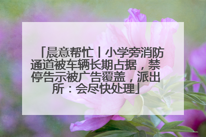 晨意帮忙丨小学旁消防通道被车辆长期占据，禁停告示被广告覆盖，派出所：会尽快处理