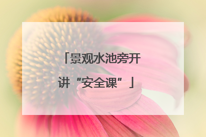景观水池旁开讲“安全课”
