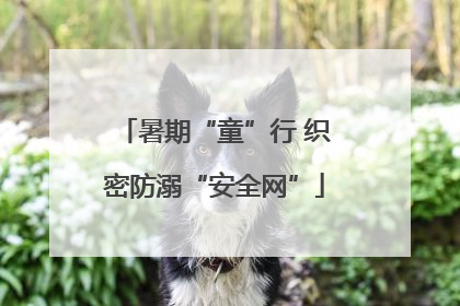 暑期“童”行 织密防溺“安全网”