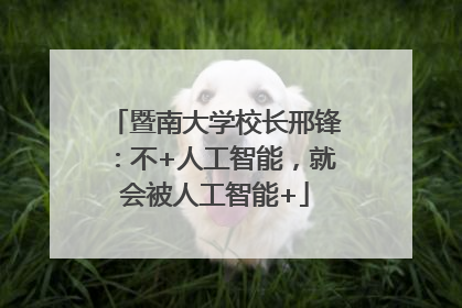 暨南大学校长邢锋：不+人工智能，就会被人工智能+