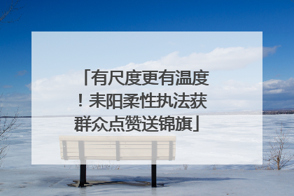 有尺度更有温度！耒阳柔性执法获群众点赞送锦旗