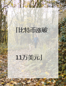 比特币涨破11万美元