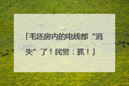 毛坯房内的电线都“消失”了！民警：抓！