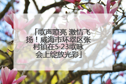 歌声嘹亮 激情飞扬！威海市环翠区张村镇在5·23歌咏会上绽放光彩