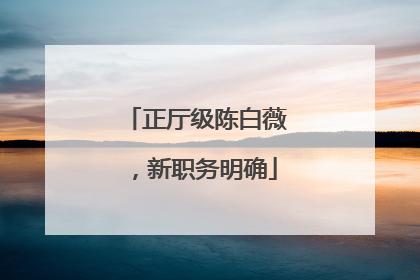 正厅级陈白薇，新职务明确