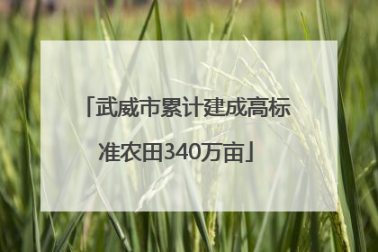 武威市累计建成高标准农田340万亩