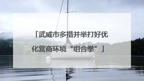 武威市多措并举打好优化营商环境“组合拳”