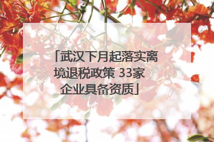 武汉下月起落实离境退税政策 33家企业具备资质