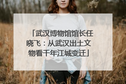 武汉博物馆馆长任晓飞：从武汉出土文物看千年江城变迁