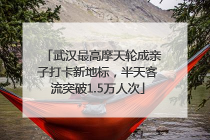 武汉最高摩天轮成亲子打卡新地标，半天客流突破1.5万人次