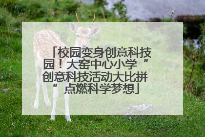 校园变身创意科技园！大窑中心小学“创意科技活动大比拼”点燃科学梦想