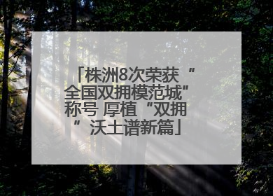 株洲8次荣获“全国双拥模范城”称号 厚植“双拥”沃土谱新篇