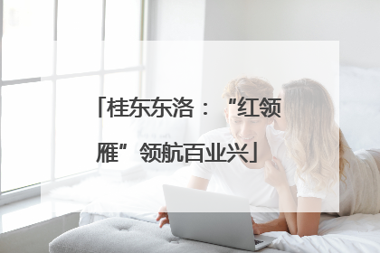 桂东东洛：“红领雁”领航百业兴