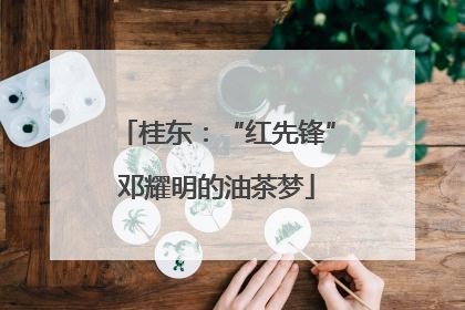 桂东：“红先锋”邓耀明的油茶梦