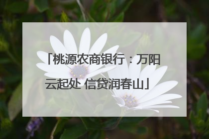 桃源农商银行：万阳云起处 信贷润春山