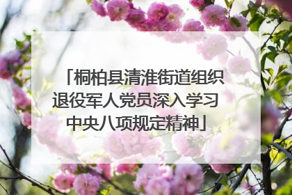 桐柏县清淮街道组织退役军人党员深入学习中央八项规定精神
