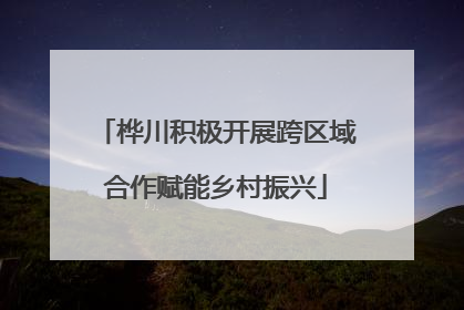 桦川积极开展跨区域合作赋能乡村振兴