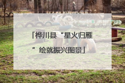 桦川县“星火归雁”绘就振兴图景