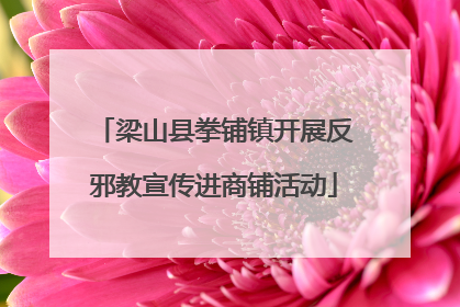 梁山县拳铺镇开展反邪教宣传进商铺活动