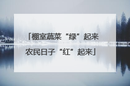 棚室蔬菜“绿”起来 农民日子“红”起来