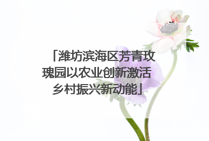 潍坊滨海区芳青玫瑰园以农业创新激活乡村振兴新动能
